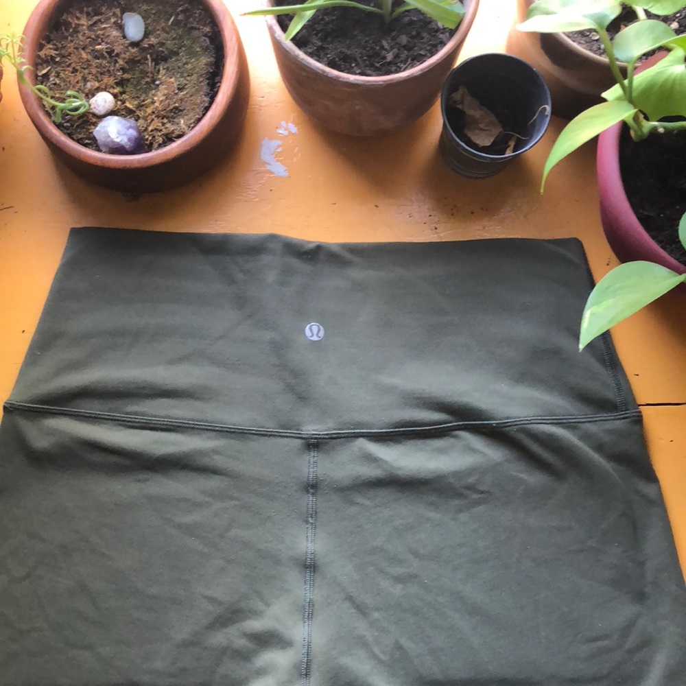 Cropped Forest Green Wonder Under